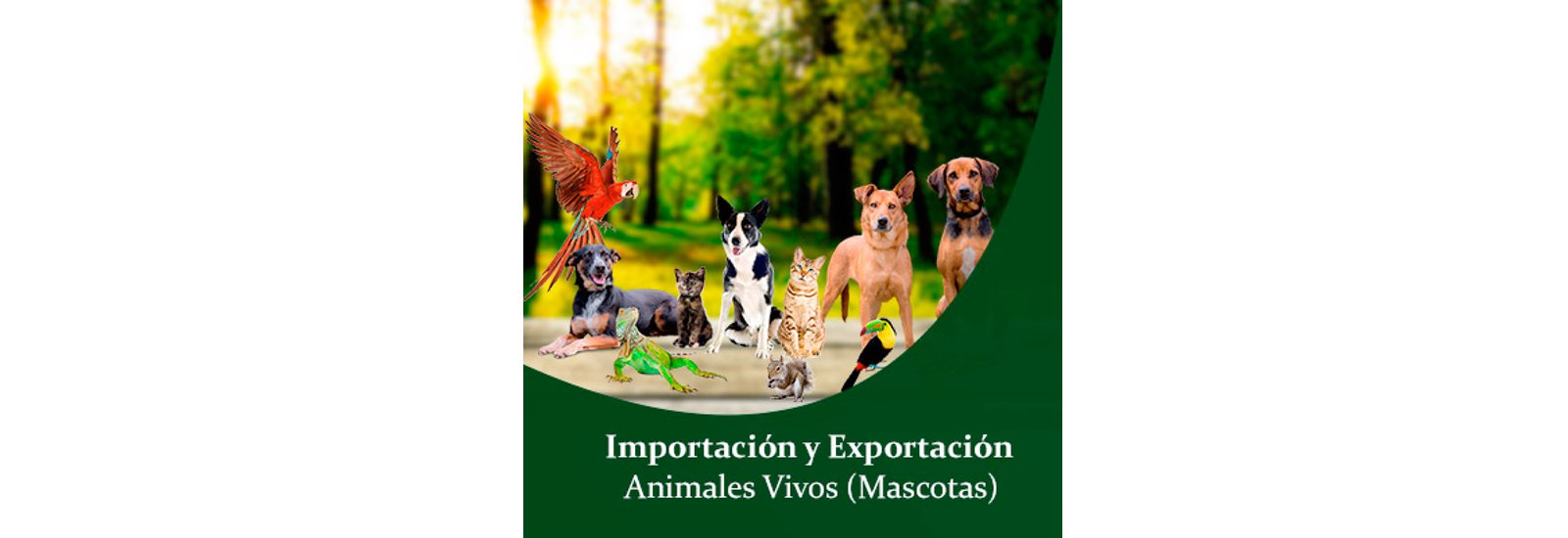 Importación y Exportación de Animales Vivos